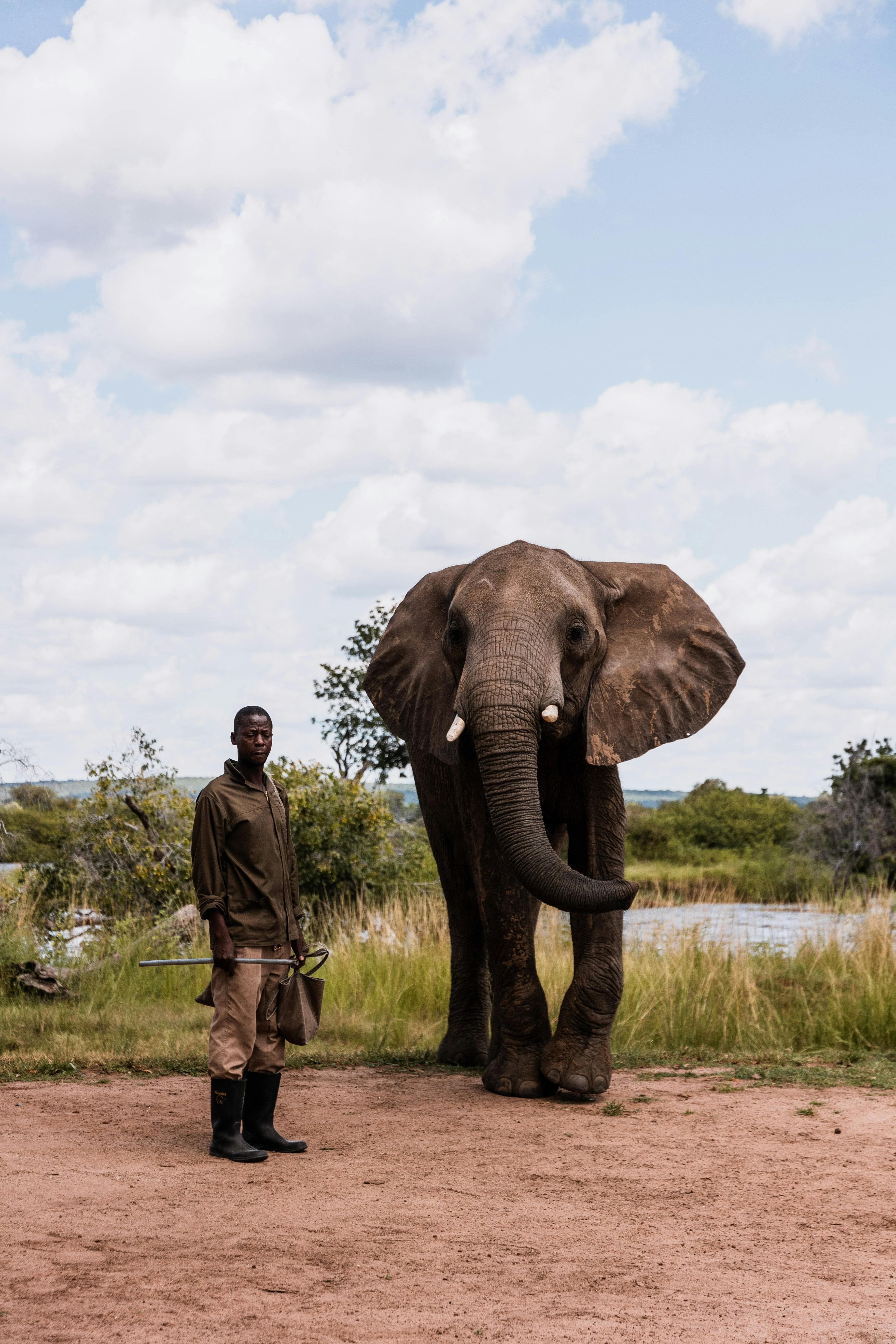 Guide John Masawe
