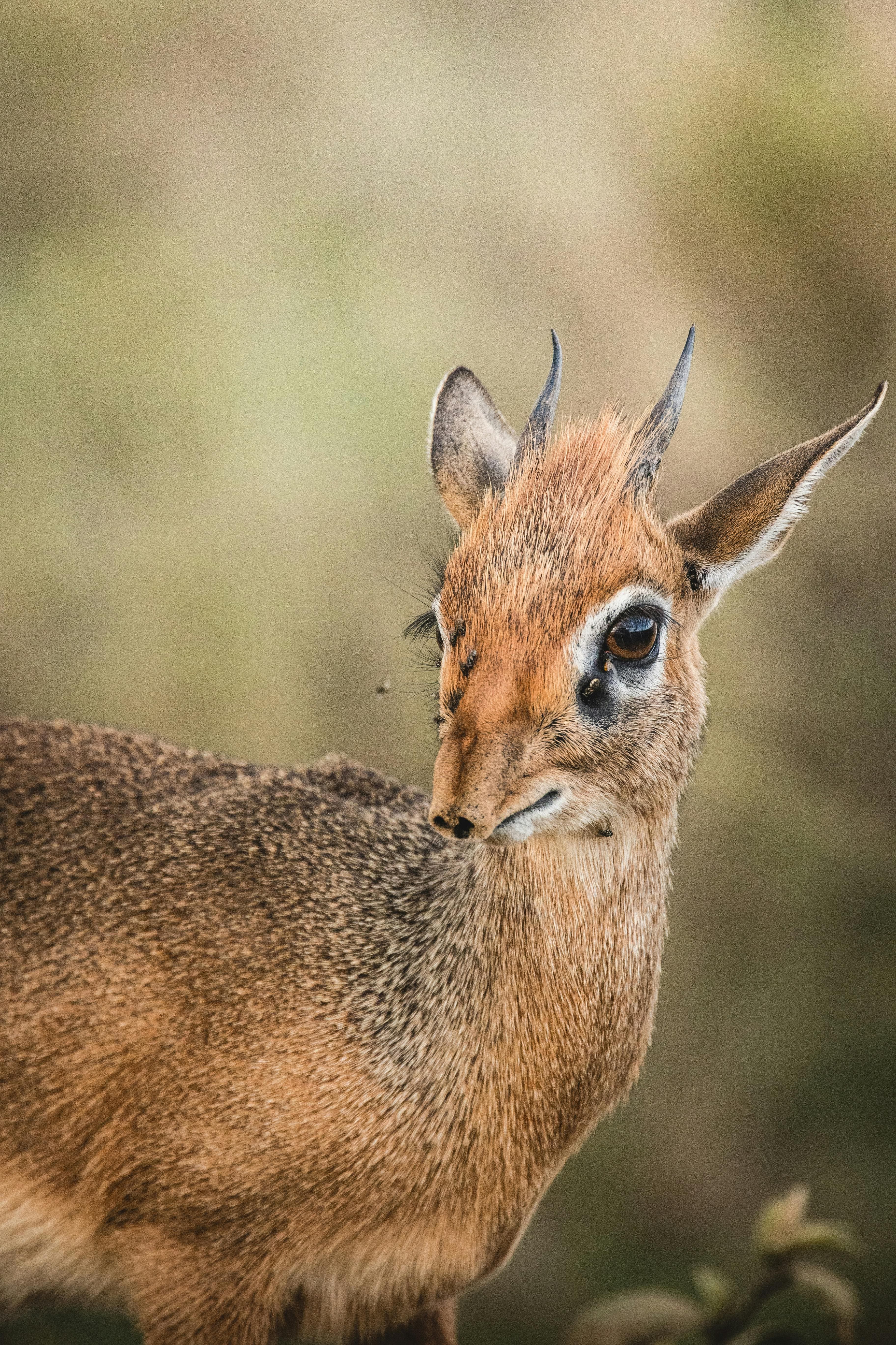 Southern Tanzania Wilderness