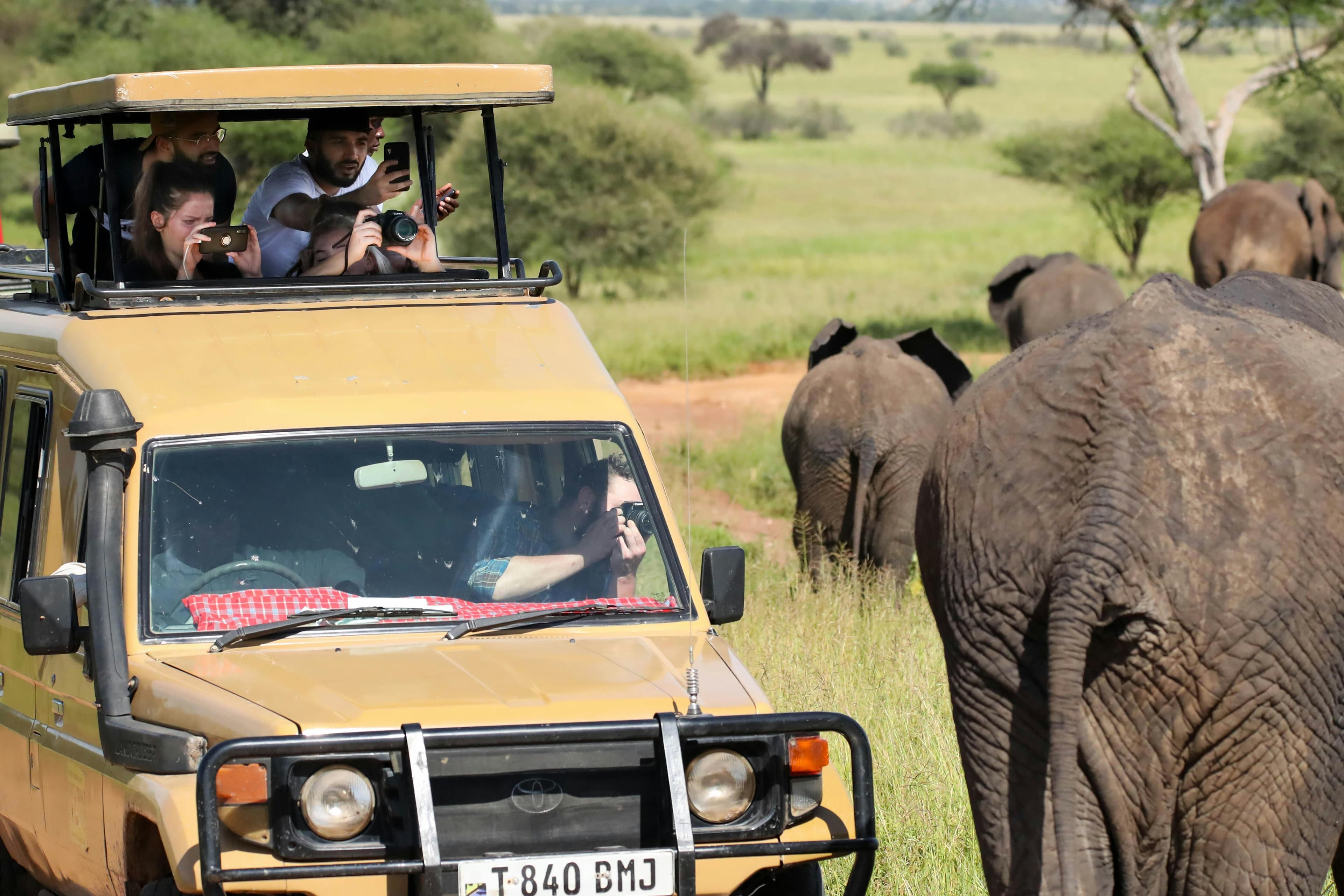 Budget Camping Safari